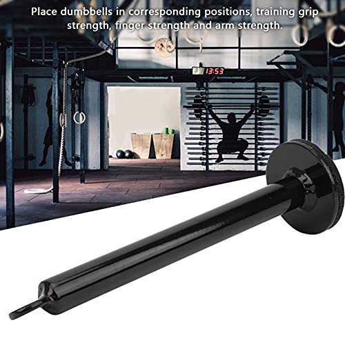 Barbell Loading Pin | 3 Sizes Stainless Steel Weight Plate Holder | Weight Bar Support Frame for Strength Training/DIY Exercise | 20x220mm / 20x320mm / 48x320mm - size: 20 diameter * 220 mm
