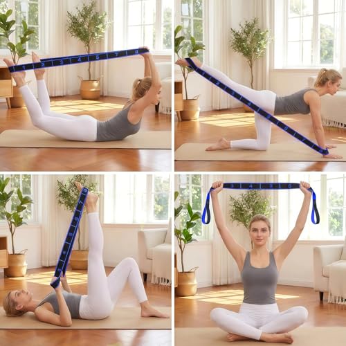 2PCS Fitness Resistance Band with Handles, Numbered 8 Segment Stretch Resistance Bands, Adjustable Stretching Exercise Band for Full Body Workout & Body Shaping - color: rose+blue
