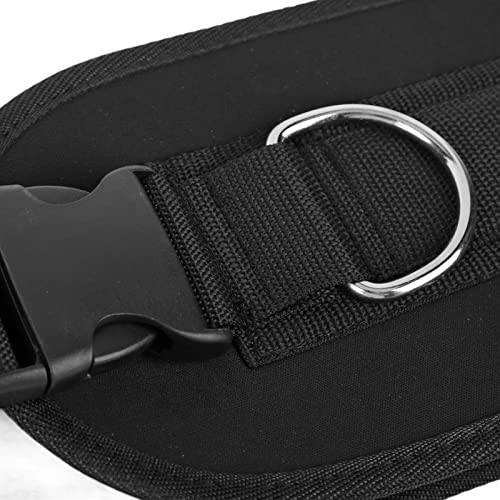 Adjustable Dip Belt, Heavy Duty Weightlifting Dip Belt with Chain and Carabiner for Dips Pull Ups and Resistance Training, Durable Fabric Design for Men and Women
