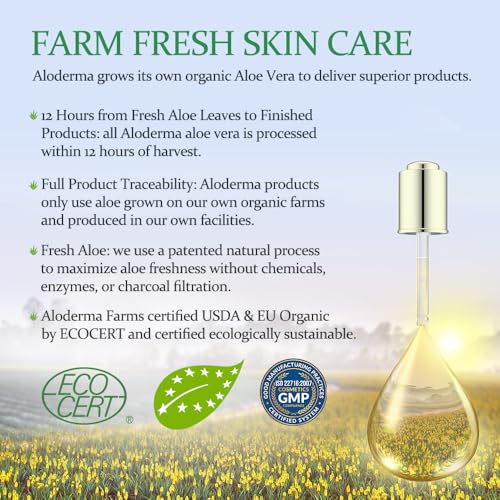 Aloderma Aloe Hydrating Hand Cream, Non-Greasy Lotion for Dry Skin, 3.5 oz | Gently scented vegan formula with shea butter, travel size 100 ml hand cream for cracked skin - ideal for office or gym use - size: 3.5 Fl Oz (Pack of 1)