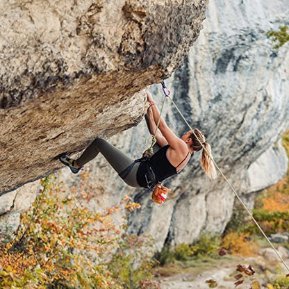 YY Vertical Rock Climbing Chalk Bags - style: Dog (Shiba)
