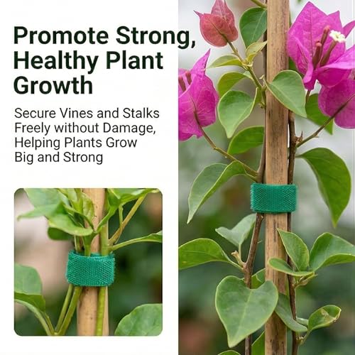 32.8ft Garden Plant Ties, Reusable Green Nylon Plant Tape for Climbing Plants, Tomato Vines & Flower Support, Adjustable Hook and Loop Garden Straps for Trellis & Wall Fixing - size: 1 Pack 32.8 Feet
