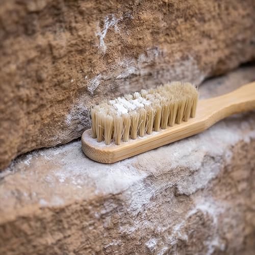 Climbing Brush Wood Handle, Natural Fiber Head, 20cm / 7.87in Long Shape with Tail Hole for Chalk Buildup on Holds and Pockets Hold Care Crag Brush Route Grip Prep Tool Climber Accessory Pocket Chalk