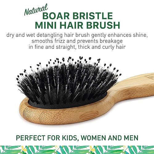 Natural Boar Bristle Hair Brush mini size, portable, easy carry for Women, Men, Kids; Dry and Wet Detangling Hair Brush Gently Enhances Shine, for Fine and Straight, Thick and Curly Hair