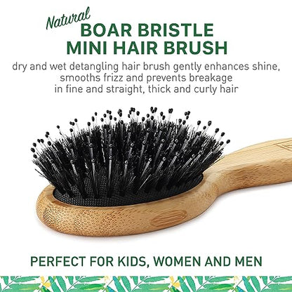 Natural Boar Bristle Hair Brush mini size, portable, easy carry for Women, Men, Kids; Dry and Wet Detangling Hair Brush Gently Enhances Shine, for Fine and Straight, Thick and Curly Hair