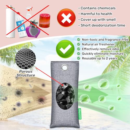 Activated Charcoal Odor Absorber, Natural Shoe Deodorizer Insert, Sneaker Odor Eliminator and Moisture Absorbers. 2 Pack Bamboo Charcoal Air Purifying Bags Shoe Smell Remover - style: 2 Pack Shoe Deodorizer