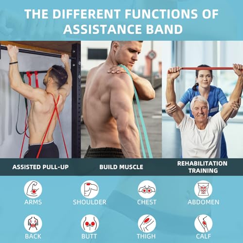 Resistance Bands, Pull Up Bands, Pull Up Assist Band Exercise Bands for Men & Women Working Out, Body Stretching, Physical Therapy, Muscle Training - color: Blue