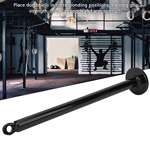 Estink Loading Pin Stainless Steel Weight Plate Holder Grip Training Tool 20mm or 48mm Tube 220mm or 320mm Length for Forearm Work Home Gym Strength Practice - size: 20 diameter*320mm