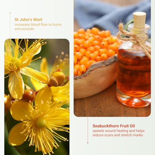 Organic Meadow Herbals Skin Healer Salve 2oz, USDA Certified Organic. For Eczema, Cuts, Burns, Itchy, dry Skin. Woman-owned & Operated Since 1994.