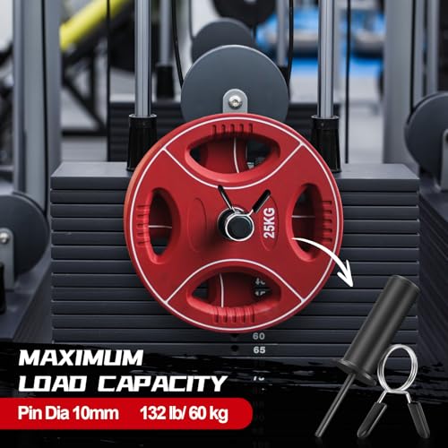 Lasnten Weight Stack Pin Extender, Gym Pin with Spring Clip Collar for 2 Inch Weight Plate Cable Strength Exercise Machine, Commercial and Home Gym - color: Black