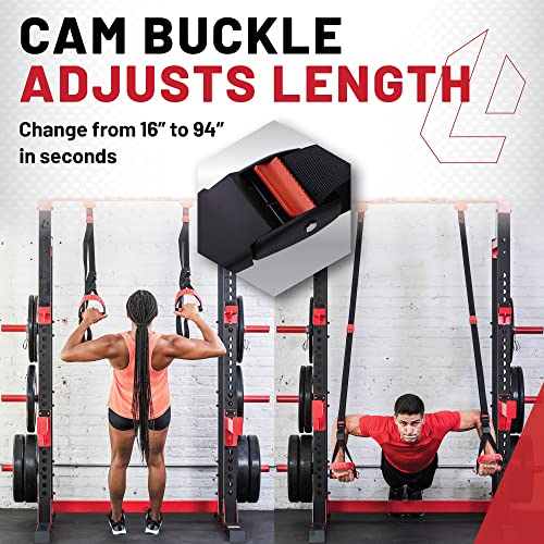 Lifeline Jungle Gym XT Body Weight Suspension Trainer System – Patented Split Anchor, Full-Body Workout, Lightweight Home Suspension Training Kit for Home Gym, Workout Equipment - size: One Size
