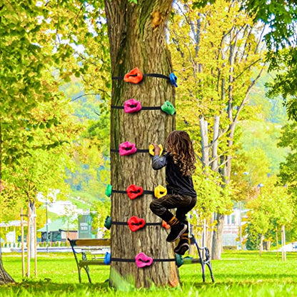 Just.smile Climbing Hold for Kids Outdoor-Ninja Tree Climbing Rocks 15 Pcs with 6 Ratchets-Climbing Grip Kits for Ninja Warrior Obstacle Course