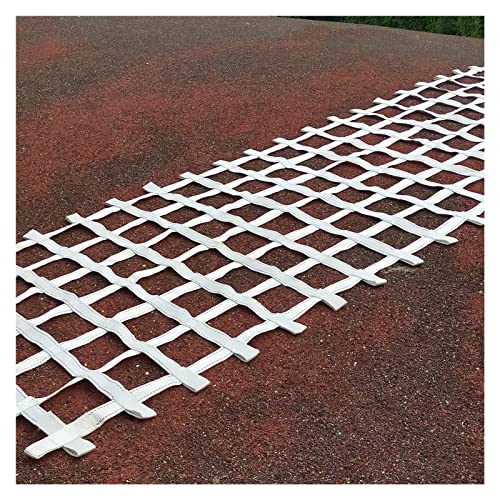 Climbing Cargo Net Heavy Duty,Ninja Net,Rope Ladder for Kids Outdoor Treehouse Backyard Playground Indoor Obstacle Webbing Net for Swing Set Jungle Gym Accessories for Slacklines,White - size: 3x10ft/0.9x3m