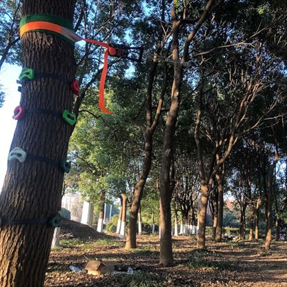 16pcs Tree Climbing Rocks Holds for Kids, 6 Ratchet Straps | 350lb, Non-Slip, Outdoor Obstacle Course Training Adventure Play, Ninja Accessories, Easy Install Hardware CPSC Approval - size: Rock Climbing