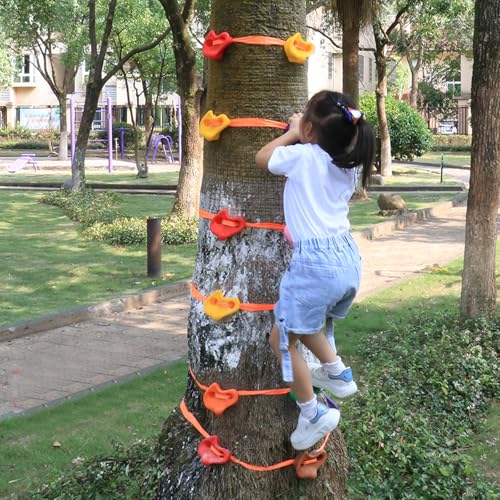 Climbing Hold for Kids Outdoor-Ninja Tree Climbing Rocks 18 Pcs with 6 Ratchet Straps Grip Kits for Outdoor Ninja Warrior Obstacle Course Training (Rocks 12 Pcs and 6 Ratchet)