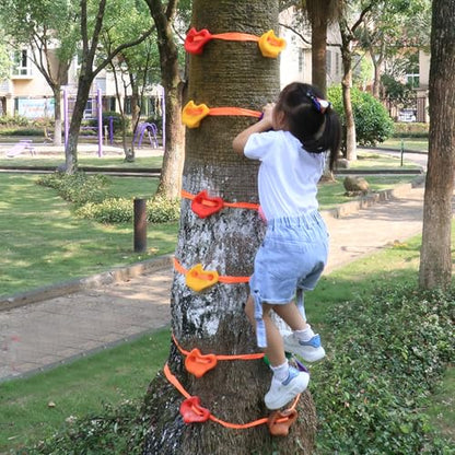 Climbing Hold for Kids Outdoor-Ninja Tree Climbing Rocks 18 Pcs with 6 Ratchet Straps Grip Kits for Outdoor Ninja Warrior Obstacle Course Training (Rocks 12 Pcs and 6 Ratchet)