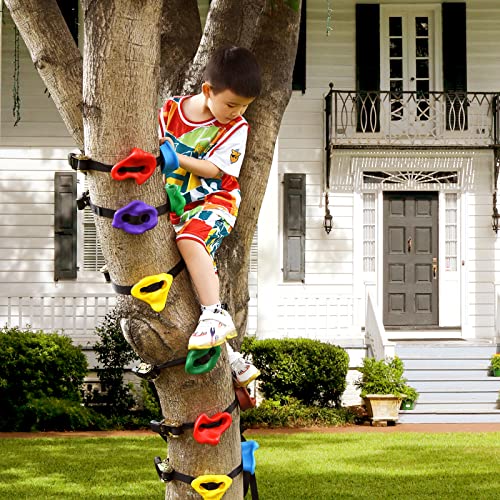 12 Ninja Tree Climbing Holds for Tree Climber, Tree Climbing Kit with 6.6FT Rope Ladder for Outdoor Ninja Warrior Obstacle Course Training - style: Rope Ladder+Tree Holds
